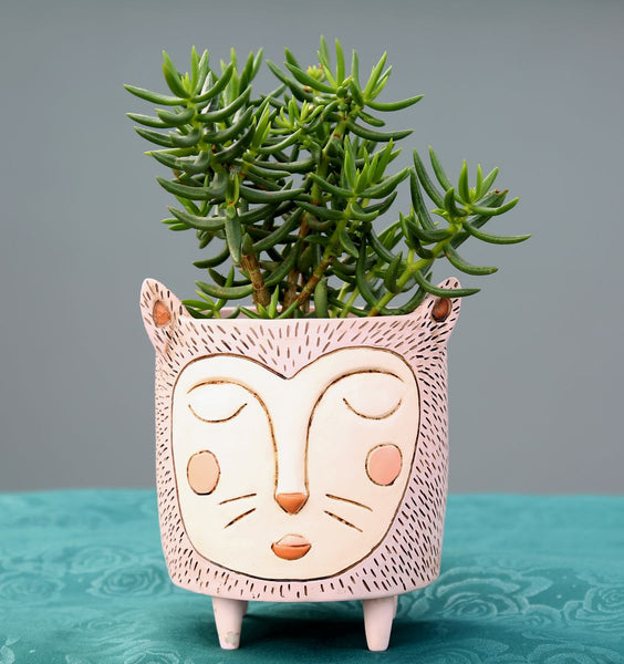 Pot Plant Planter Purrs Cat